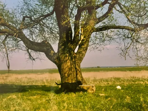 Рисунок к стихотворению 056